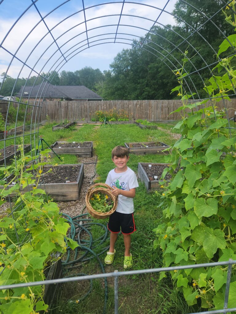 afternoon harvest because we garden god's way