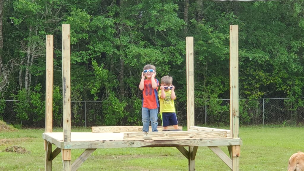 building a chicken coop for egg laying chickens