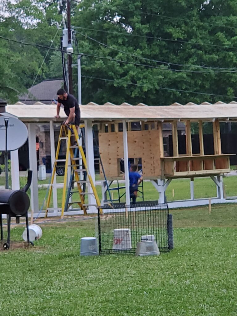 building the hagan homestead chicken coop