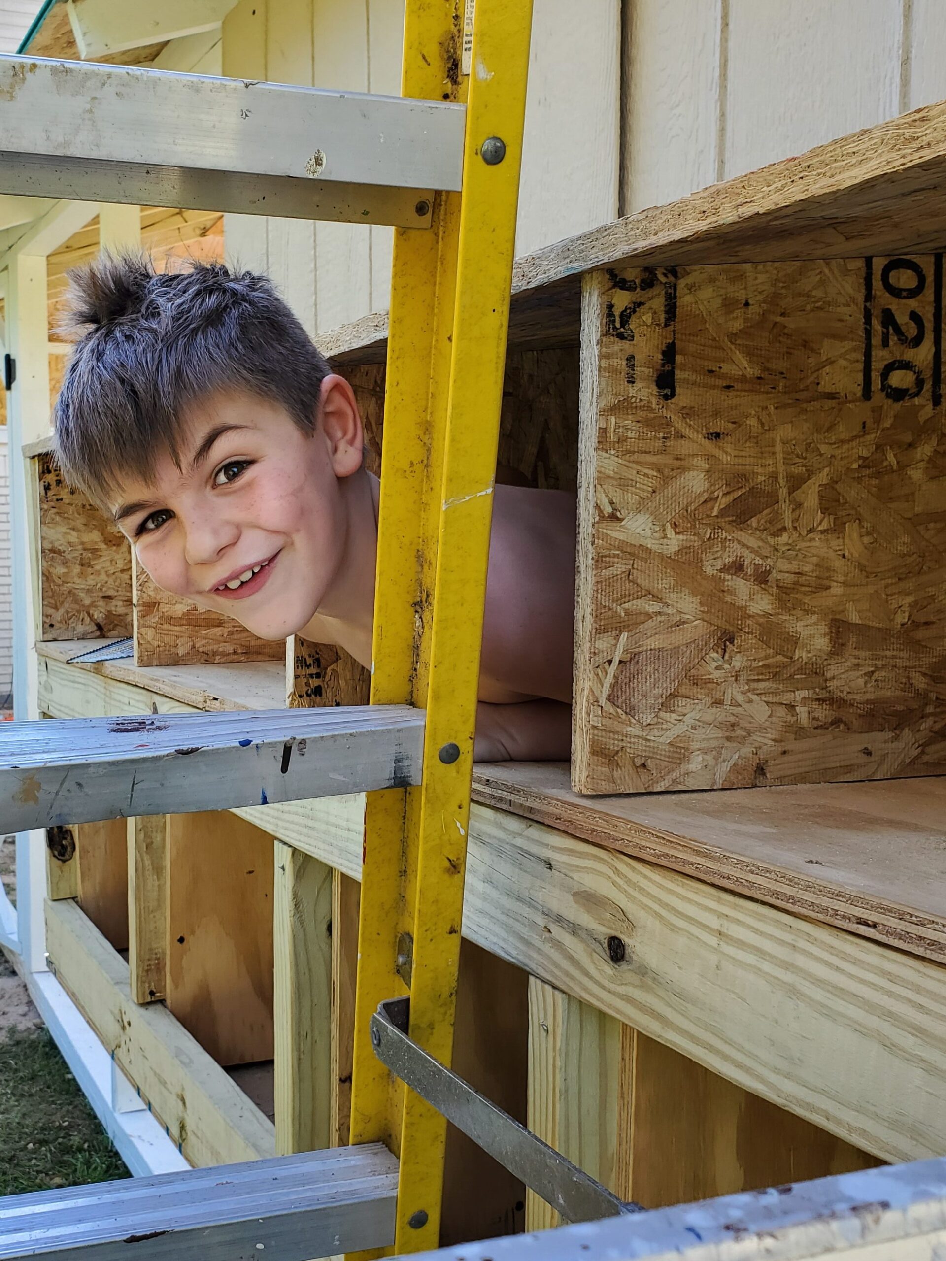 nesting boxes for egg laying chickens