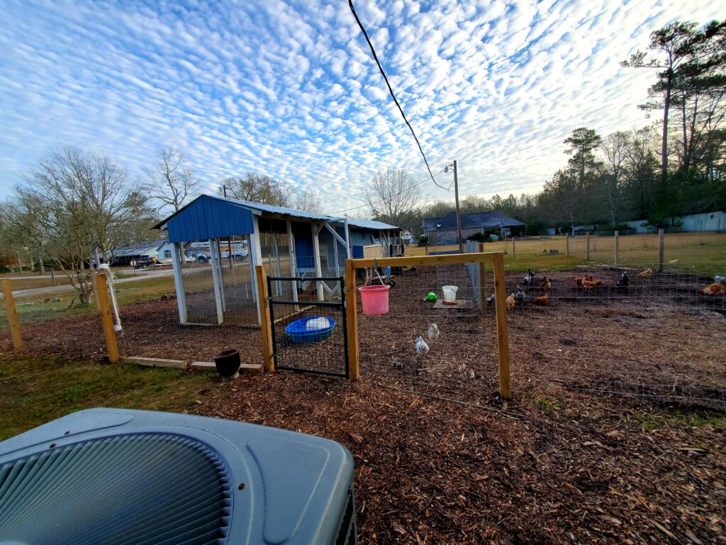 the hagan homestead chicken coop