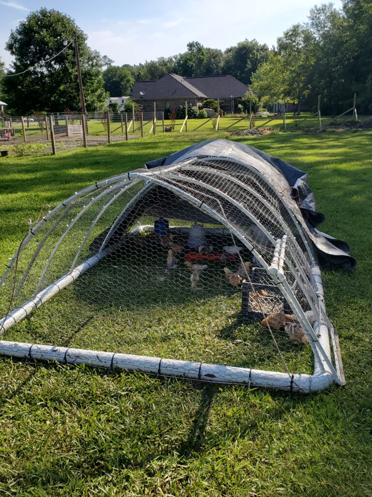 homemade chicken tractor