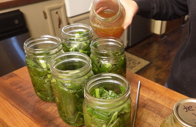 canning the collard greens for the fall garden