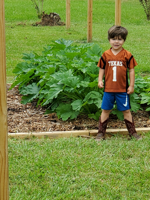 Hagan Homestead garden