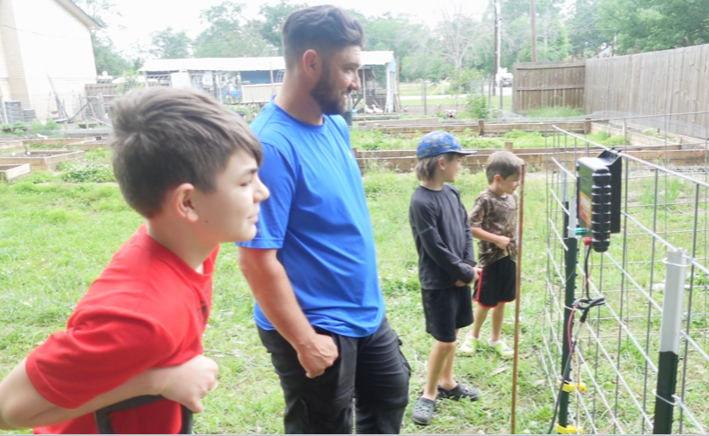 Hagan Homestead raising pork